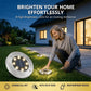 ☀️ ¡50% de descuento! Luz solar de suelo para jardín · 8 LED · Sin cableado