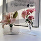 💐Compra 2 y lleva 1 gratis🎁 Florero Acrílico Transparente Estilo Nórdico | Elegante Soporte de Plantas para Escritorio y Decoración del Hogar | Centro de Mesa Moderno para Sala y Bodas
