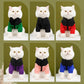 Chaqueta de abrigo con cremallera para perros y gatos