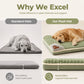 🛏️ Colchón de Dormir para Mascotas de Felpa Premium ☁️