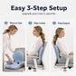 🪑 Cojín de Asiento Ergonómico de Espuma Viscoelástica con Soporte Lumbar – Comodidad Todo el Día, Perfecto para Oficina, Coche y Hogar ✨