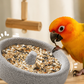 Comedero de roca volcánica para aves con superficie rugosa · 2 en 1