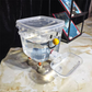 Dispensador de Agua para Mascotas de Gran Capacidad