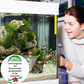 Pastillas Purificadoras de Agua para Acuario de Alta Eficacia