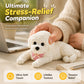 Juguete Antiestrés Squishy de Perrito Teddy
