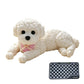 Juguete Antiestrés Squishy de Perrito Teddy