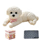 Juguete Antiestrés Squishy de Perrito Teddy